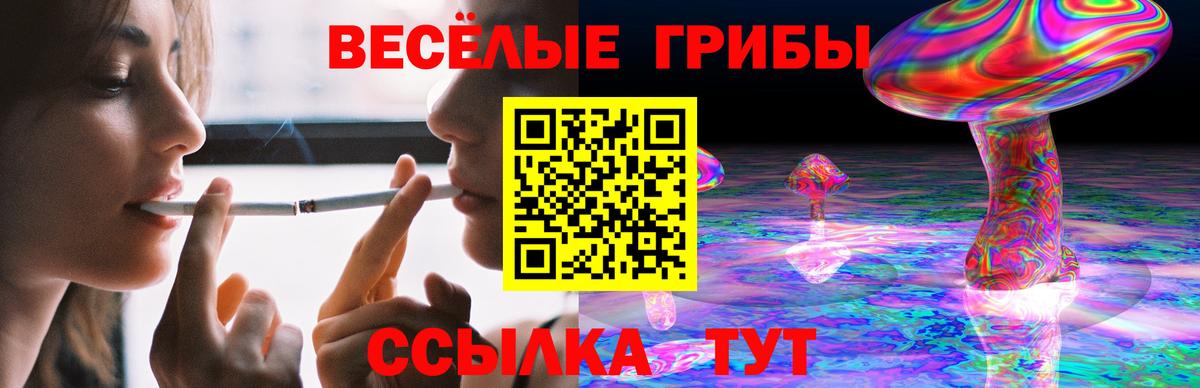 Псилоцибиновые грибы Psilocybe  Вход с VPN  Курск 