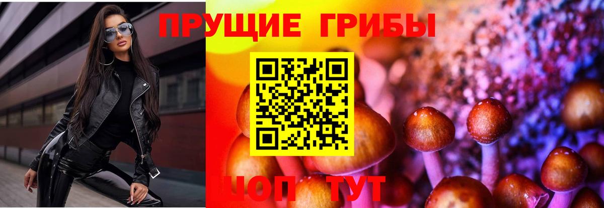 Галлюциногенные грибы Magic Shrooms Курск